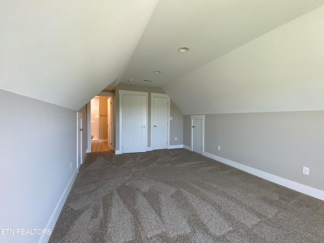 additional living space featuring carpet and vaulted ceiling