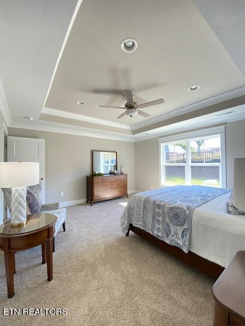 carpeted bedroom with a tray ceiling, ceiling fan, and ornamental molding