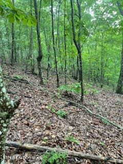 Clinch View Rd, New Tazewell TN, 37825 land for sale