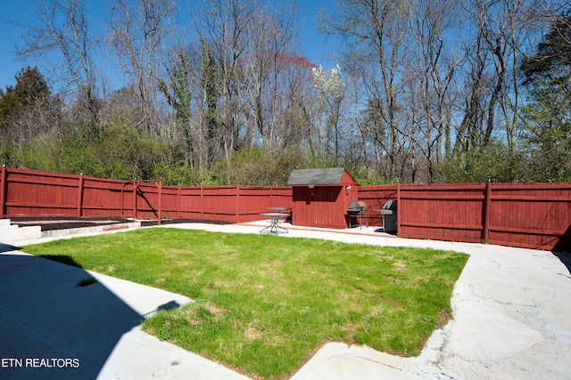 view of yard with a storage unit