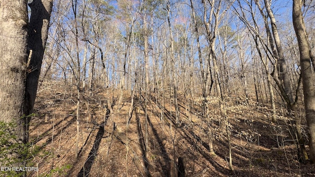 Rocky Top Rd, Lenoir City, TN 37771 - photo 14
