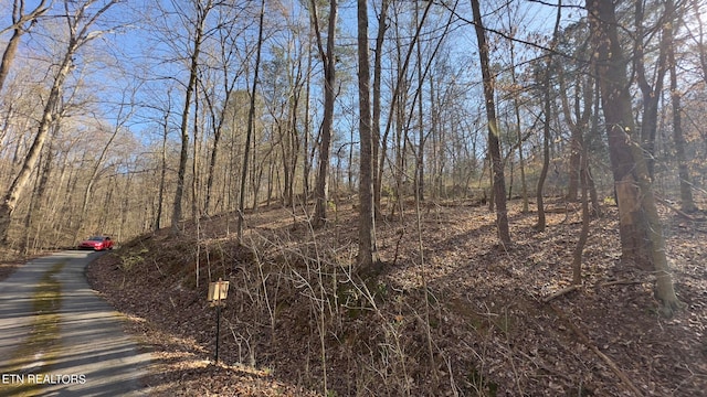 Rocky Top Rd, Lenoir City, TN 37771 - photo 15