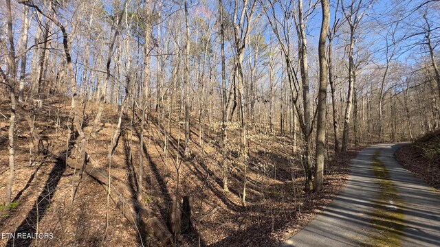Rocky Top Rd, Lenoir City, TN 37771 - photo 16