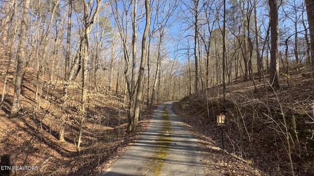 Rocky Top Rd, Lenoir City, TN 37771 - photo 17