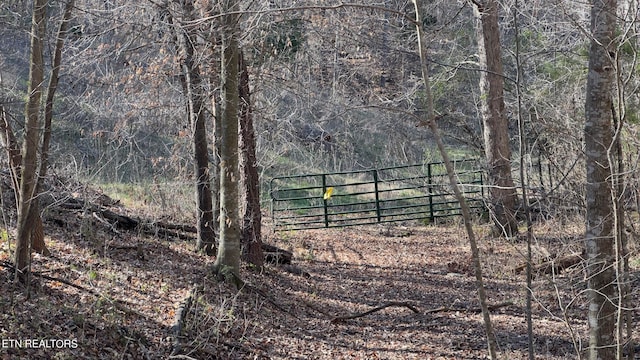 Rocky Top Rd, Lenoir City, TN 37771 - photo 18