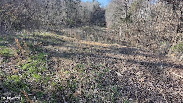 Rocky Top Rd, Lenoir City, TN 37771 - photo 20