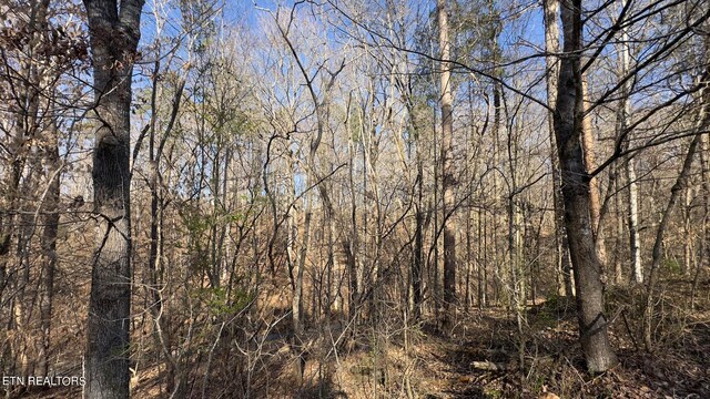 Rocky Top Rd, Lenoir City, TN 37771 - photo 21