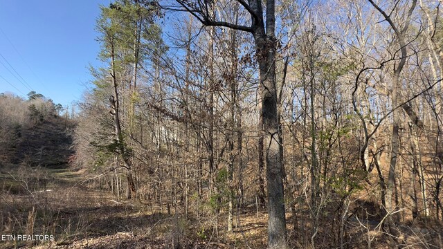 Rocky Top Rd, Lenoir City, TN 37771 - photo 22