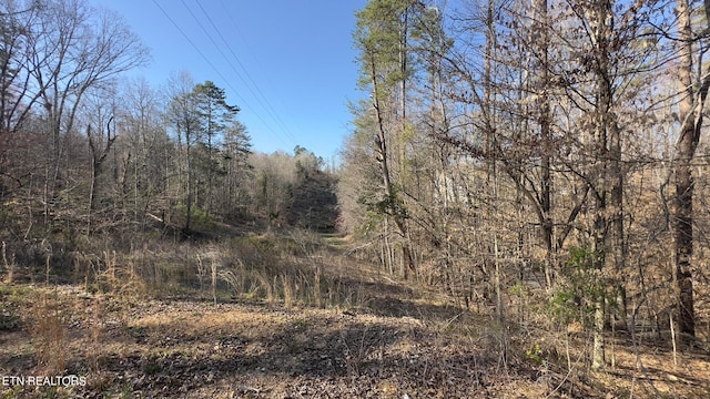 Rocky Top Rd, Lenoir City, TN 37771 - photo 23