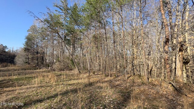 Rocky Top Rd, Lenoir City, TN 37771 - photo 24