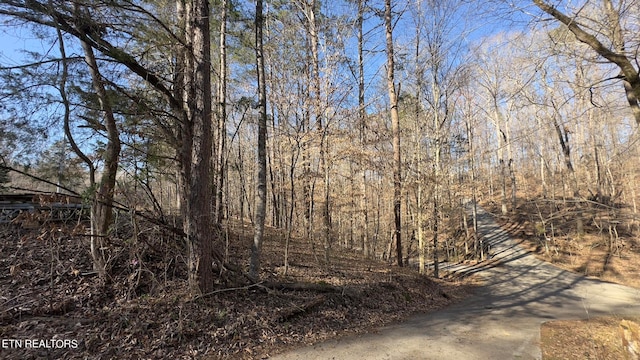 Rocky Top Rd, Lenoir City, TN 37771 - photo 25