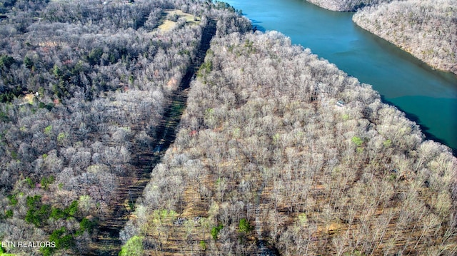 Rocky Top Rd, Lenoir City, TN 37771 - photo 29