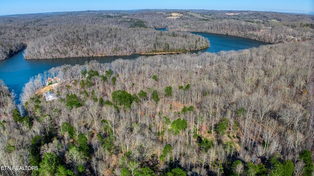 Rocky Top Rd, Lenoir City, TN 37771 - photo 30