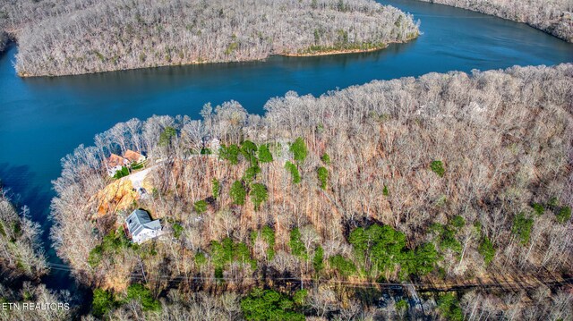 Rocky Top Rd, Lenoir City, TN 37771 - photo 32