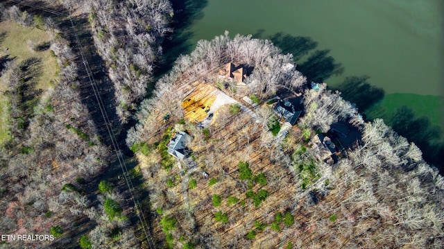 Rocky Top Rd, Lenoir City, TN 37771 - photo 33