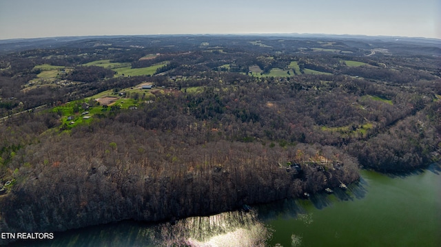 Rocky Top Rd, Lenoir City, TN 37771 - photo 34