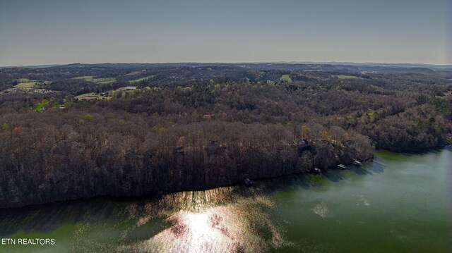 Rocky Top Rd, Lenoir City, TN 37771 - photo 35