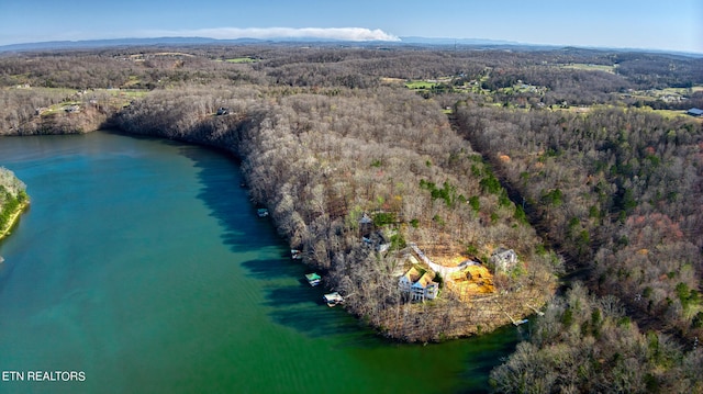 Rocky Top Rd, Lenoir City, TN 37771 - photo 36