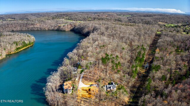 Rocky Top Rd, Lenoir City, TN 37771 - photo 38