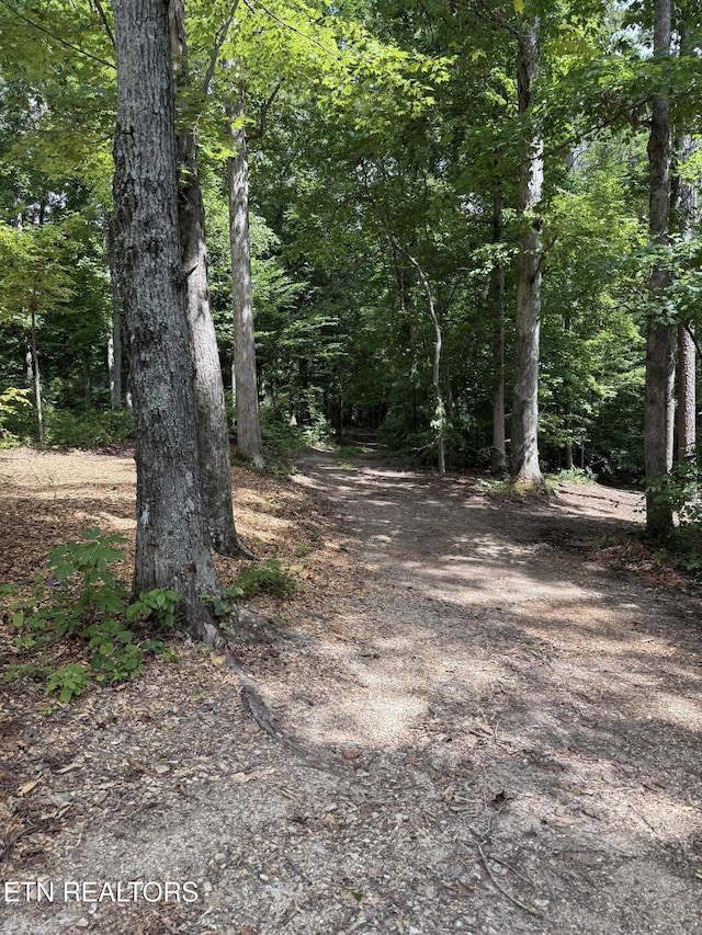 Rocky Top Rd, Lenoir City, TN 37771 - photo 12