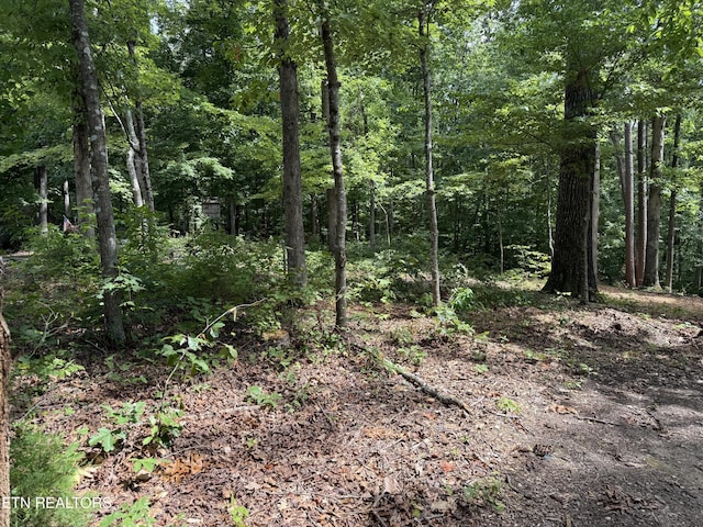 Rocky Top Rd, Lenoir City, TN 37771 - photo 3