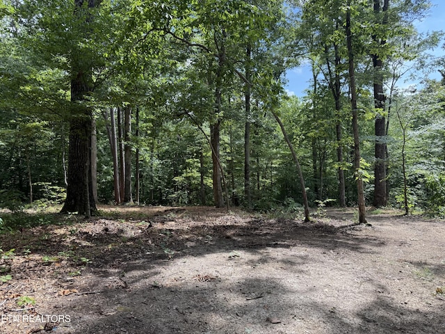Rocky Top Rd, Lenoir City, TN 37771 - photo 4