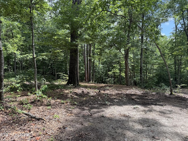 Rocky Top Rd, Lenoir City, TN 37771 - photo 6