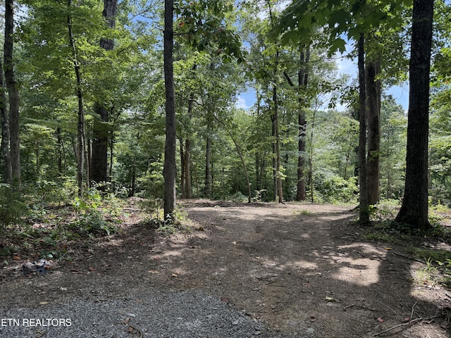 Rocky Top Rd, Lenoir City, TN 37771 - photo 11