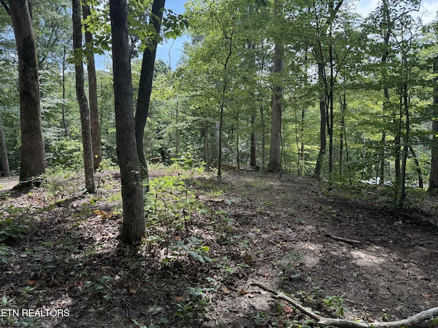 Rocky Top Rd, Lenoir City, TN 37771 - photo 10