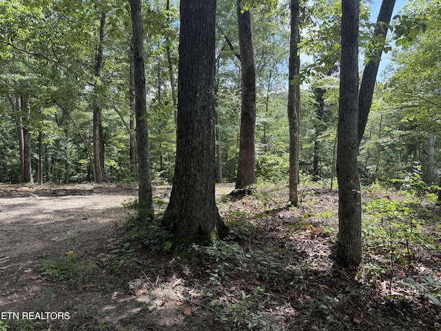 Rocky Top Rd, Lenoir City, TN 37771 - photo 9