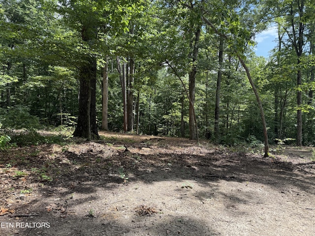Rocky Top Rd, Lenoir City, TN 37771 - photo 8