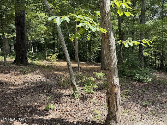 Rocky Top Rd, Lenoir City, TN 37771 - photo 7