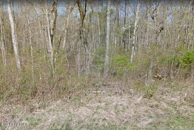 427 Yakama Dr, Crossville TN, 38572 land for sale