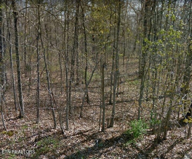 2017 Tres Cir, Crossville TN, 38572 land for sale