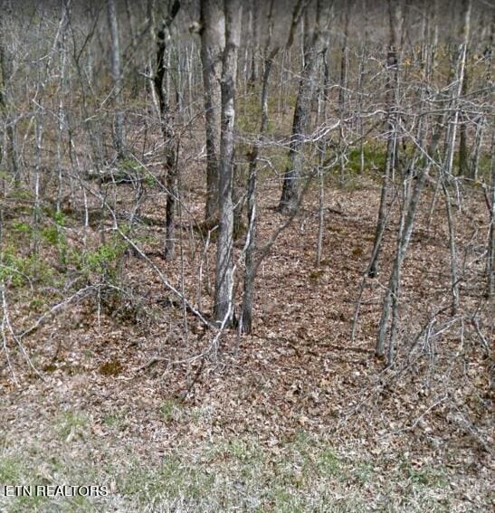 1133 Mohave Dr, Crossville TN, 38572 land for sale