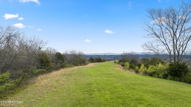 3608 Nina Hills Dr, White Pine TN, 37890 land for sale