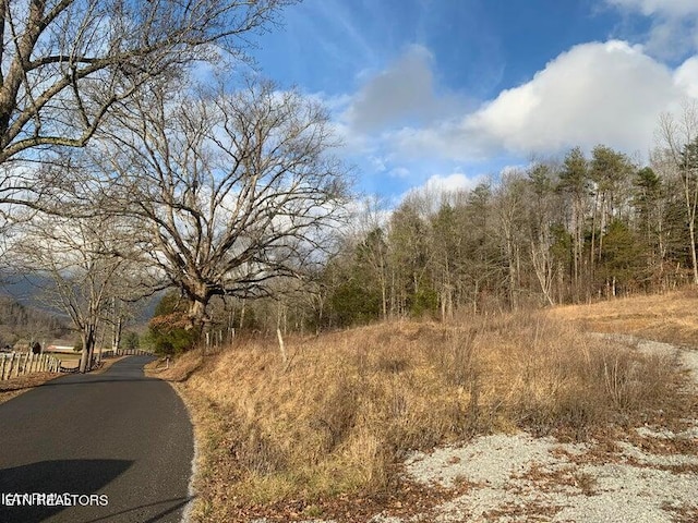 Listing photo 3 for Frog Level Rd, Ewing VA 24248