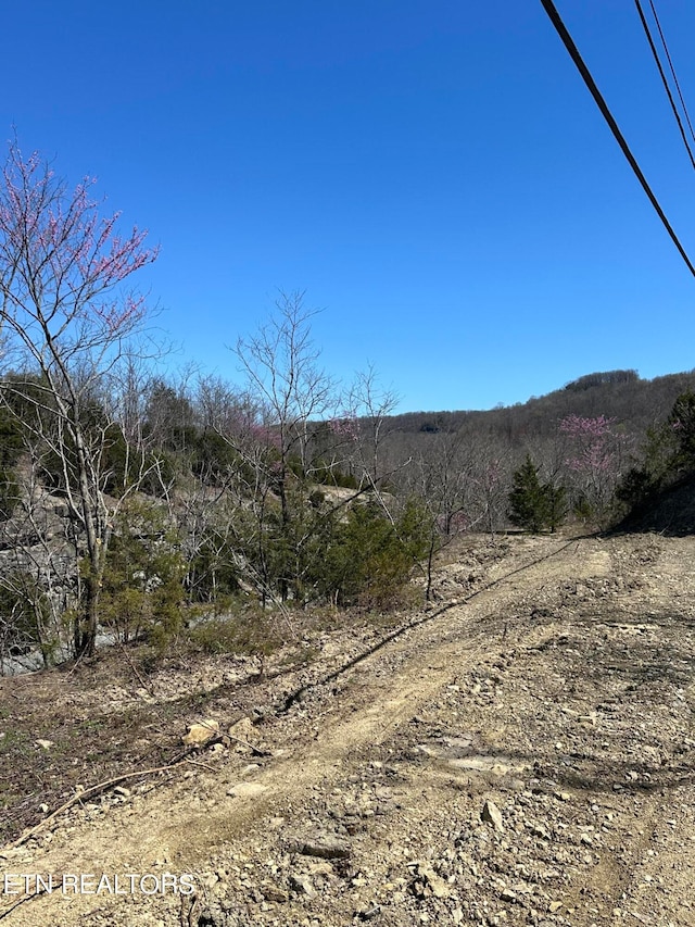 Listing photo 3 for Old Bonair Rd, Sparta TN 38583