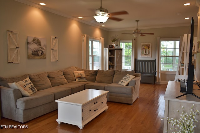 living room featuring crown molding, dark wood-type flooring, and ceiling fan