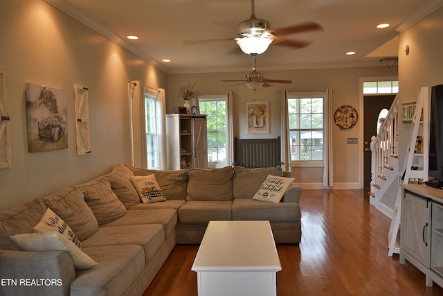 living room featuring ceiling fan, dark hardwood / wood-style floors, and ornamental molding