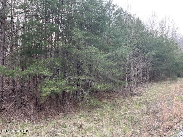 00 Deep Branch Ln, Wilder, TN 38589