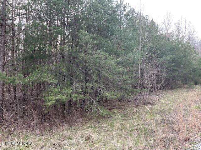 00 Deep Branch Ln, Wilder TN, 38589 land for sale