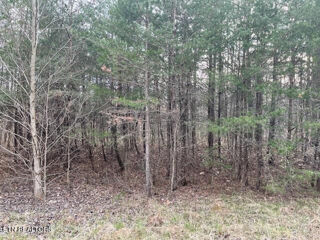 Listing photo 3 for 00 Deep Branch Ln, Wilder TN 38589