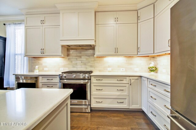 kitchen featuring custom range hood, tasteful backsplash, stainless steel appliances, and dark wood-type flooring