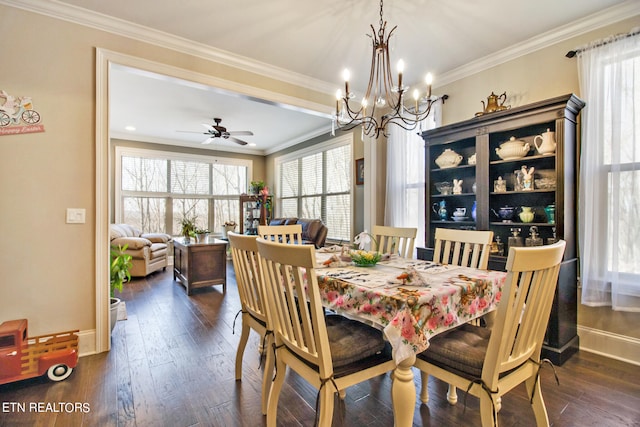 dining room featuring a healthy amount of sunlight, ornamental molding, ceiling fan with notable chandelier, and dark wood-type flooring