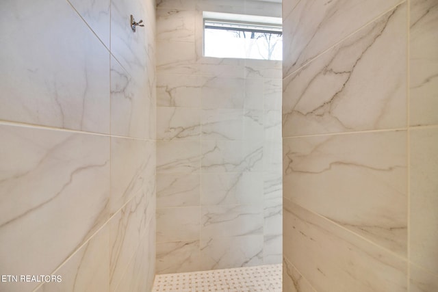 room details featuring tiled shower