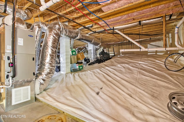 basement featuring heating utilities