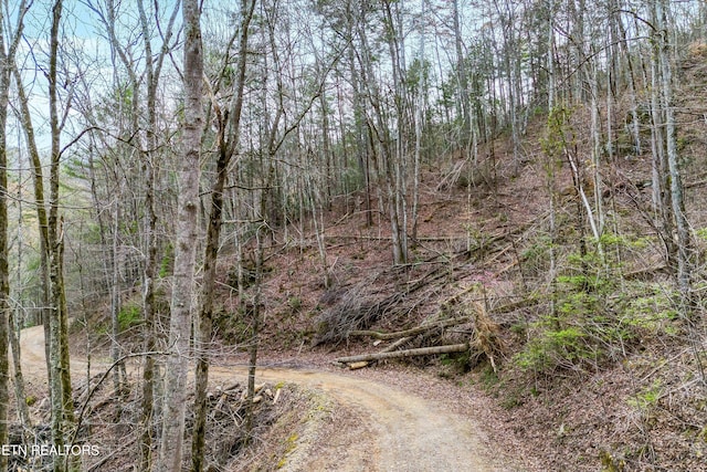 LOT20 Meadow View Rd, Sevierville TN, 37862 land for sale