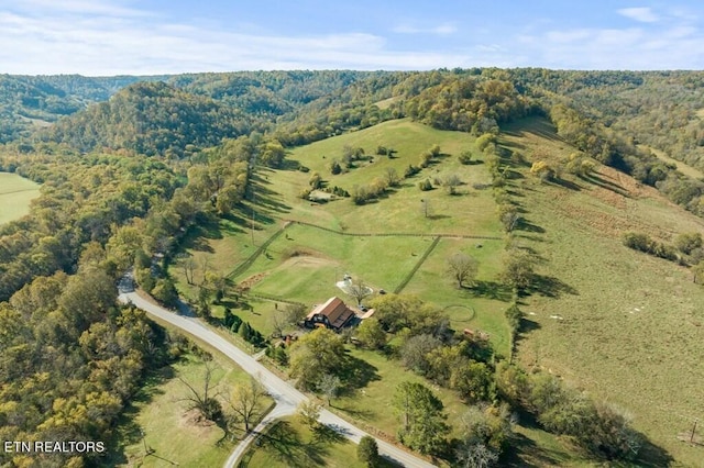 aerial view with a rural view