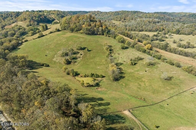 birds eye view of property featuring a rural view